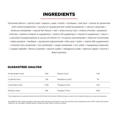 Go! Solutions chien mange en cuisine, illustre acceptation gustative