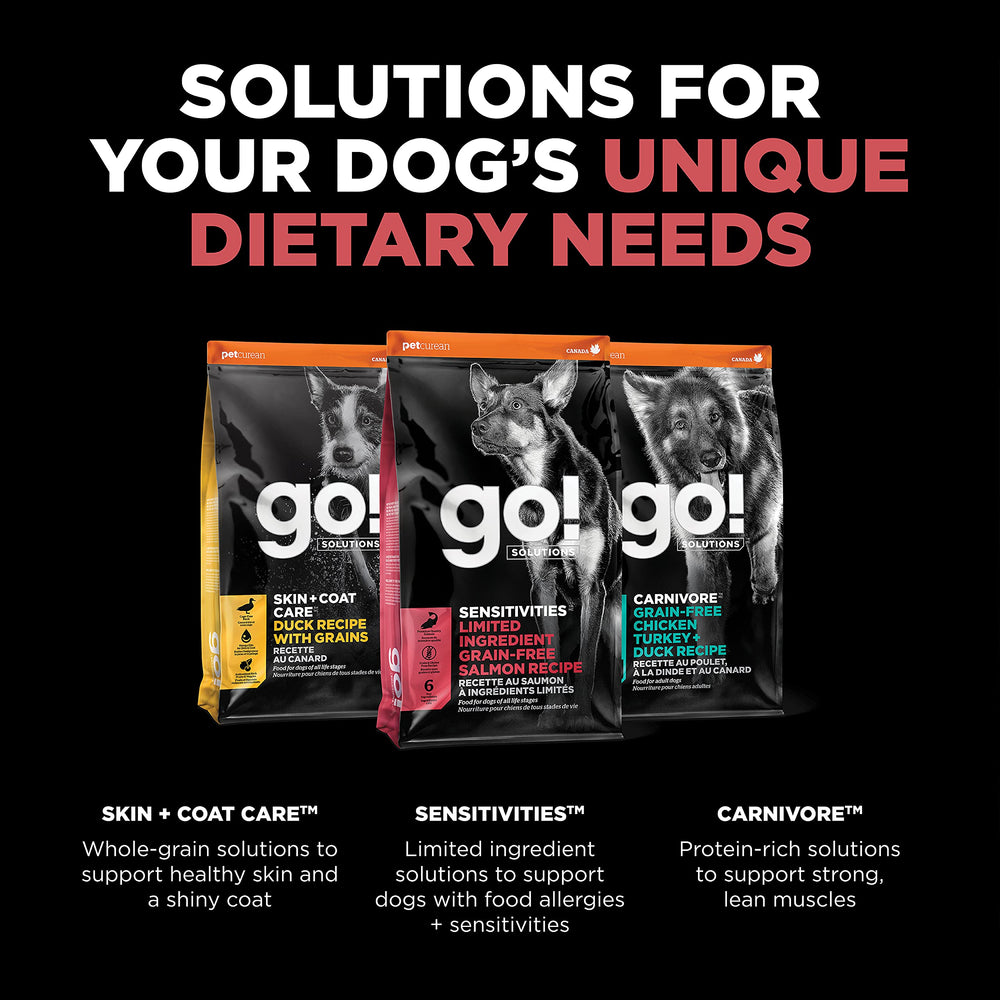 Go! Solutions chiot mangeant la croquette goût saumon appétence garantie