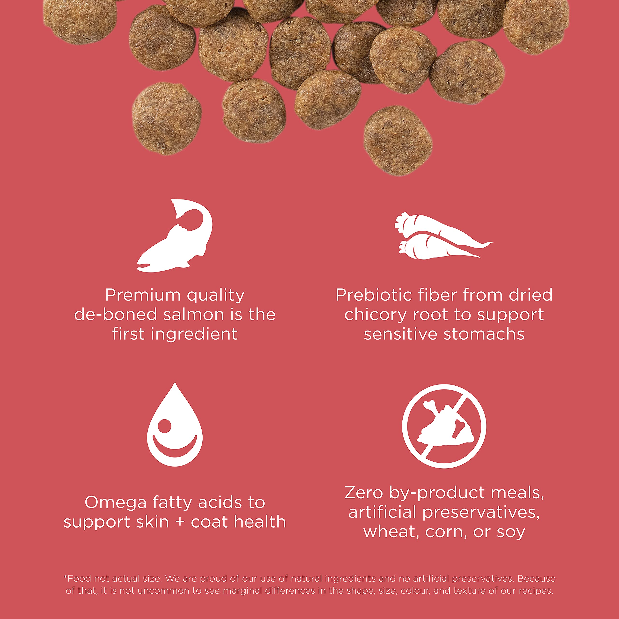 Go! Solutions affichage des ingrédients clés pour stabilité digestive