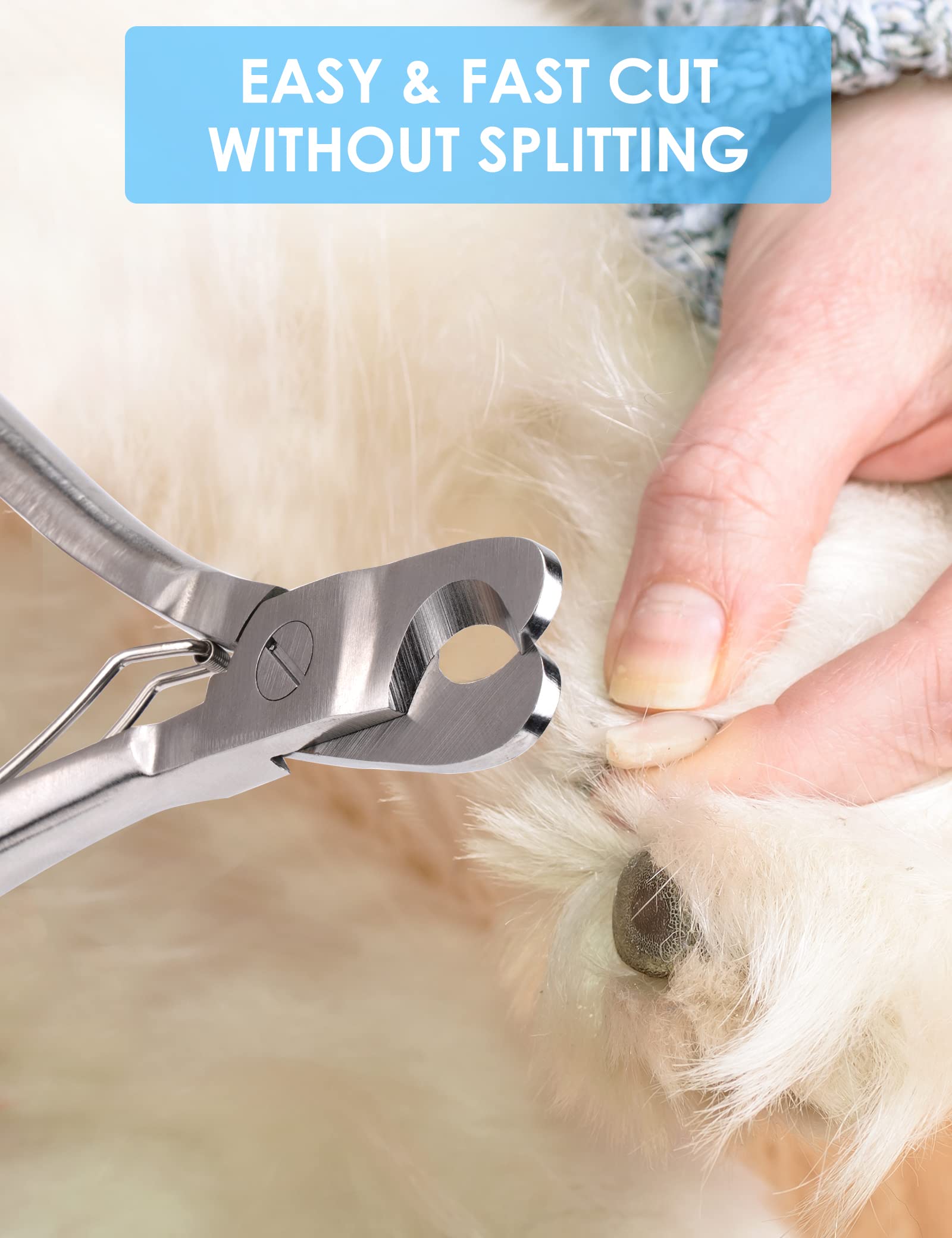 Gobeigo coupe-ongles en usage sur grand chien, coupe précise et sécurisée