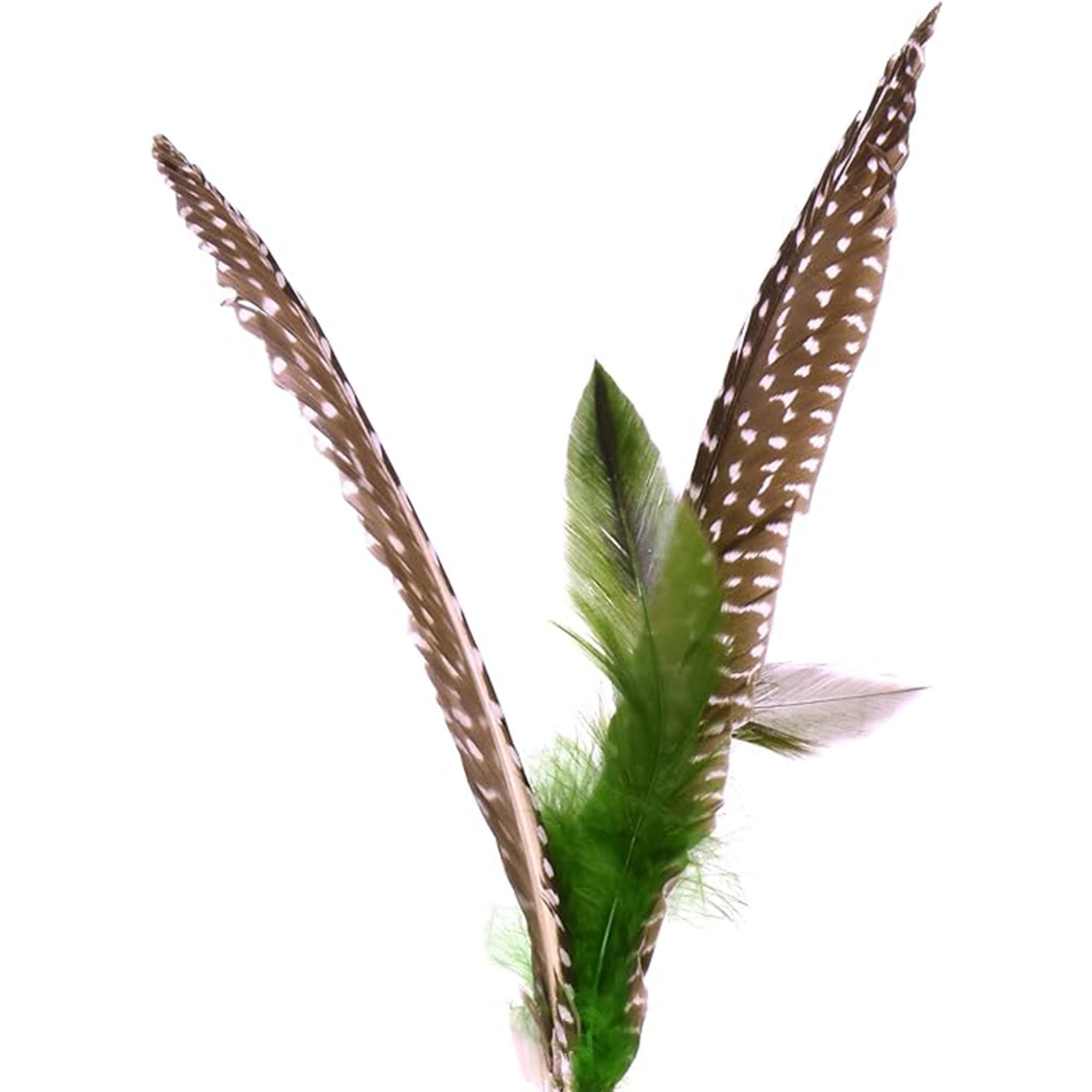 GoCat plumes Da Bird gros plan sur texture des plumes offrant mouvement naturel