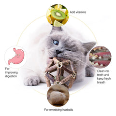 Gochanmon balle de cataire gros plan, attire le chat et divertit