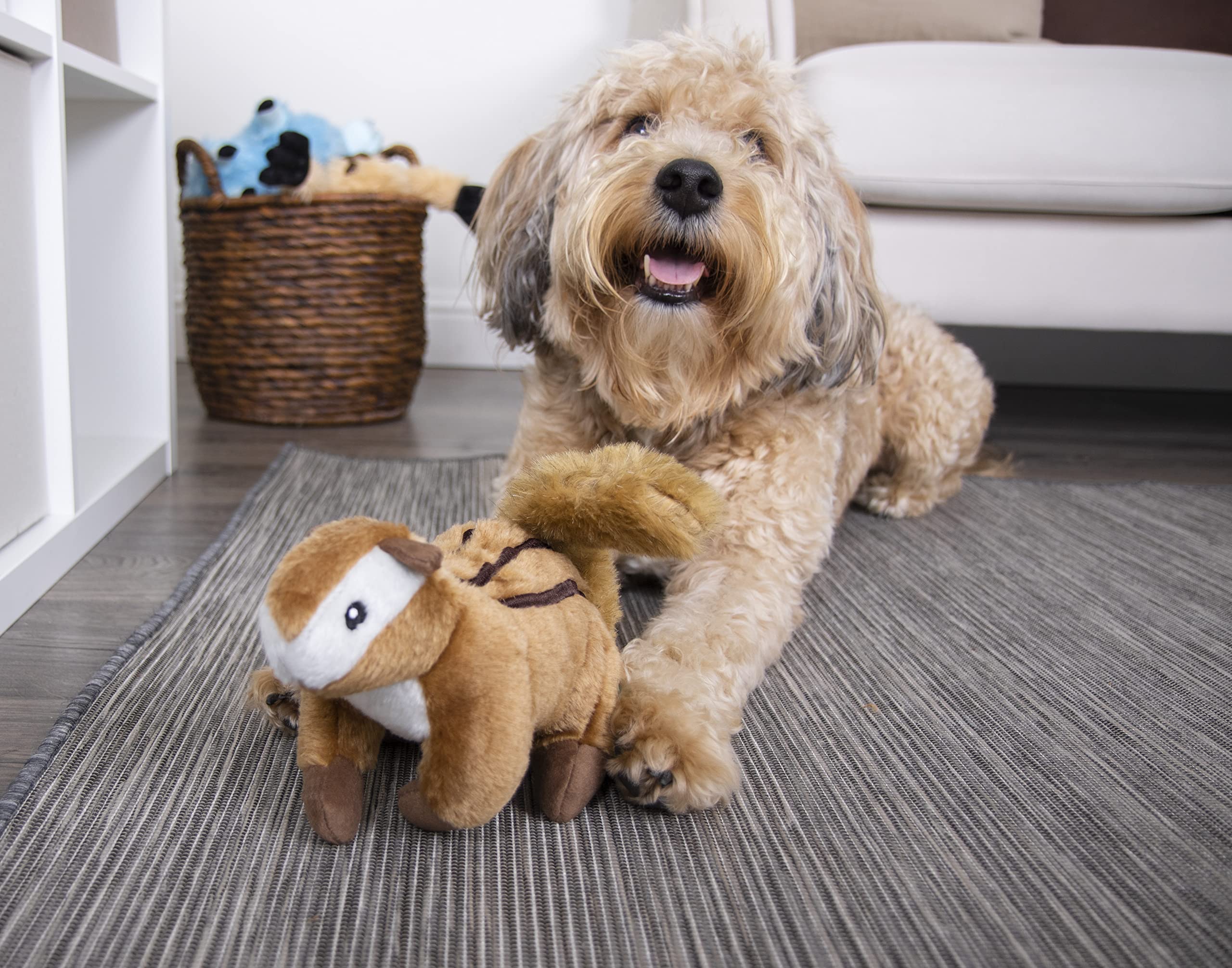 goDog comparaison taille grand indiquant échelle et présence rassurante