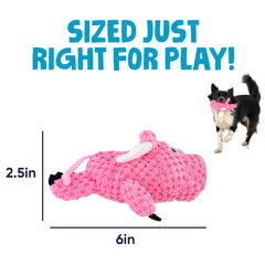 goDog gros plan du sifflet intégré stimulant le jeu interactif du chien