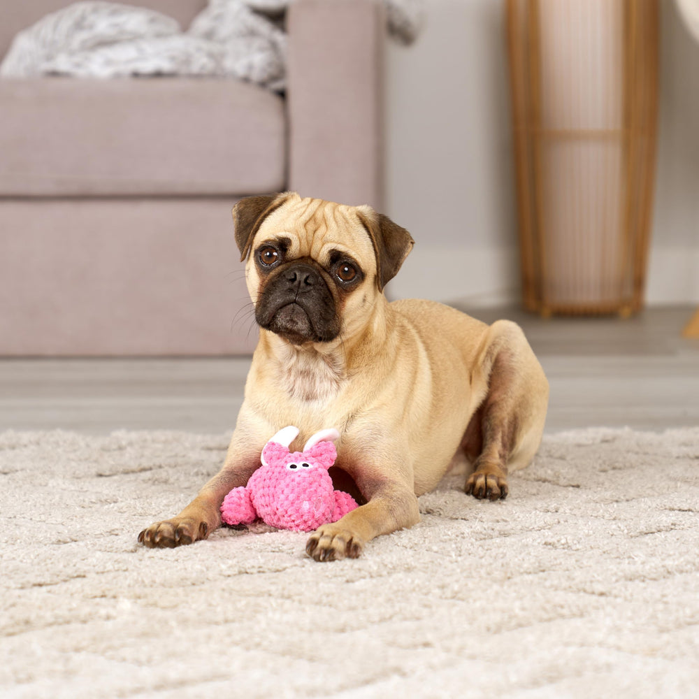 goDog motif quadrillé du tissu illustrant la Chew Guard Technology robuste