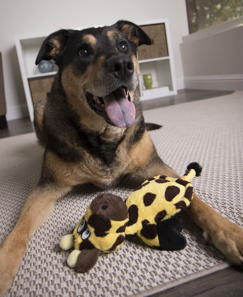 détail des coutures Chew Guard goDog montrant renfort et durabilité
