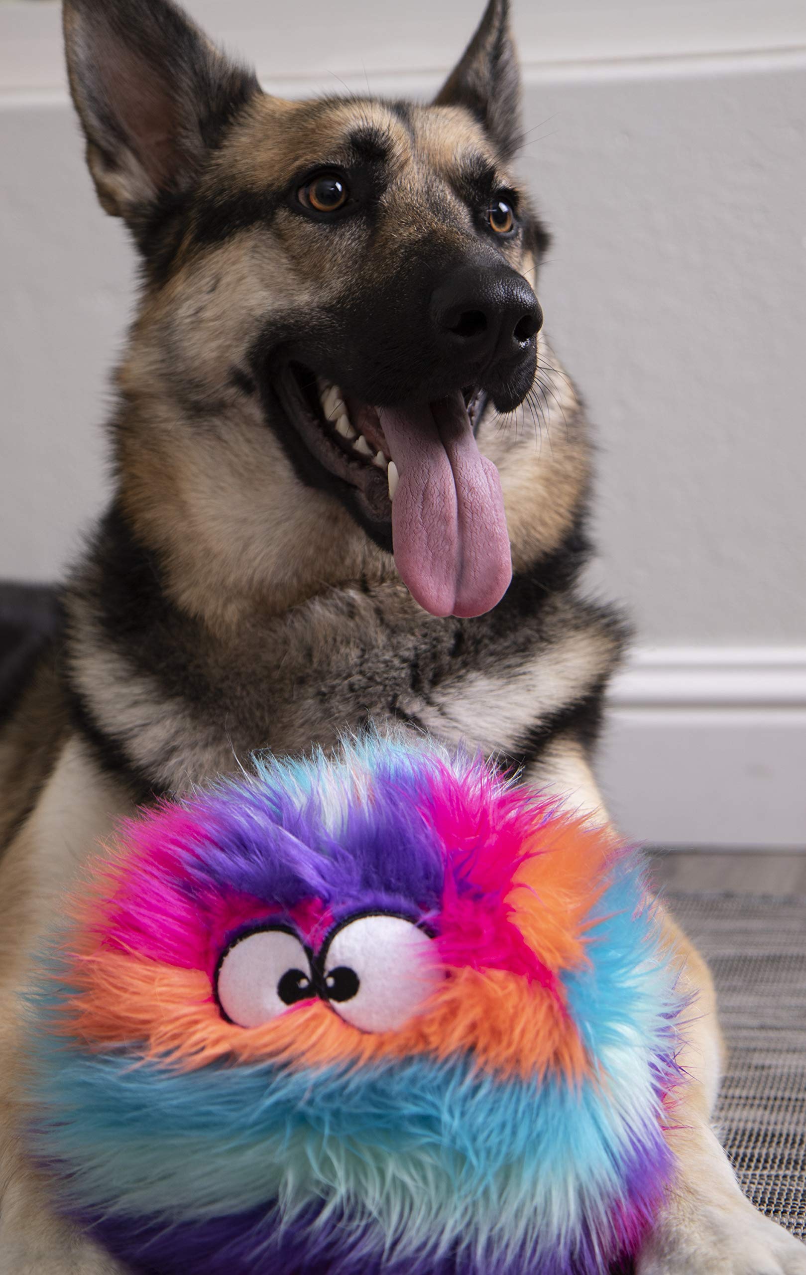 goDog présentation couleurs cool rainbow pour stimulation visuelle