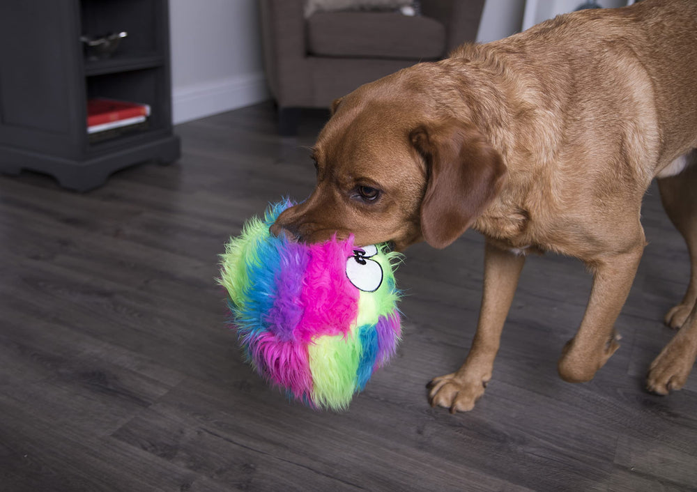 goDog comparaison taille Large pour lancer et rapporter