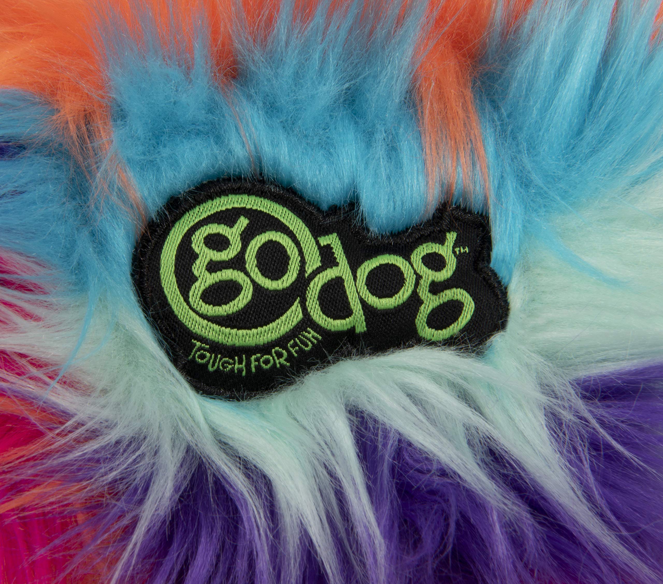 goDog gros plan yeux mobiles pour attirer visuellement le chien