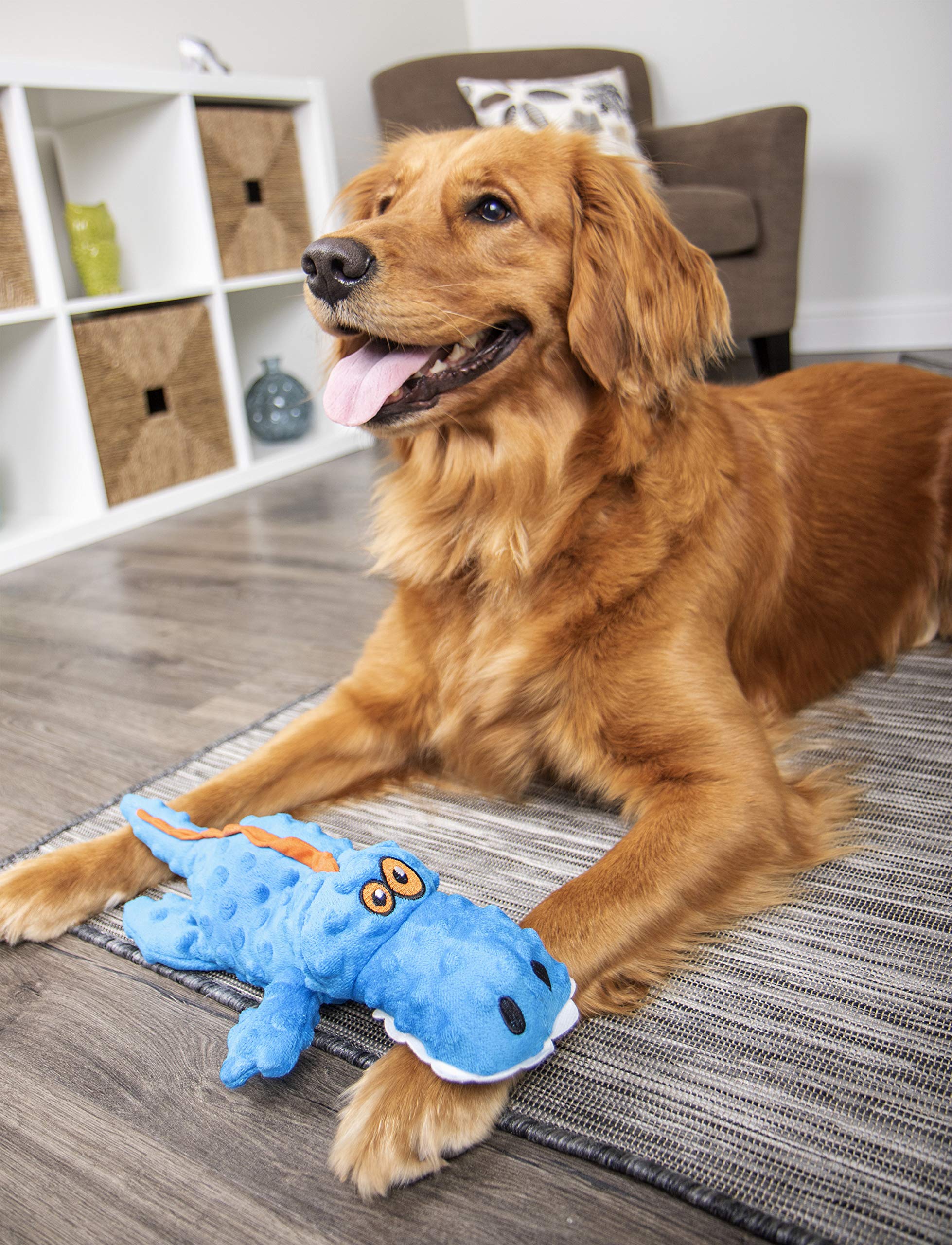 goDog gator entretien avec chiffon montre nettoyage facile