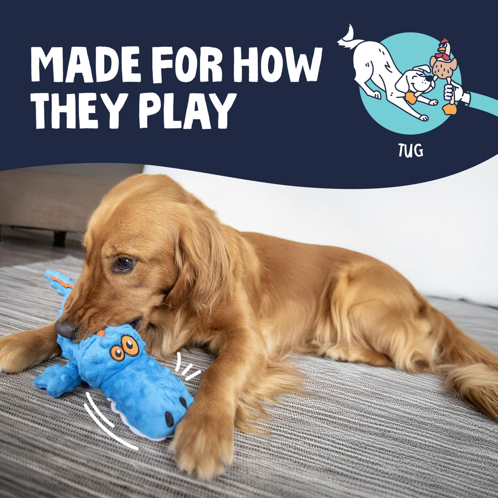 goDog gator comparaison taille montre échelle pour grands chiens
