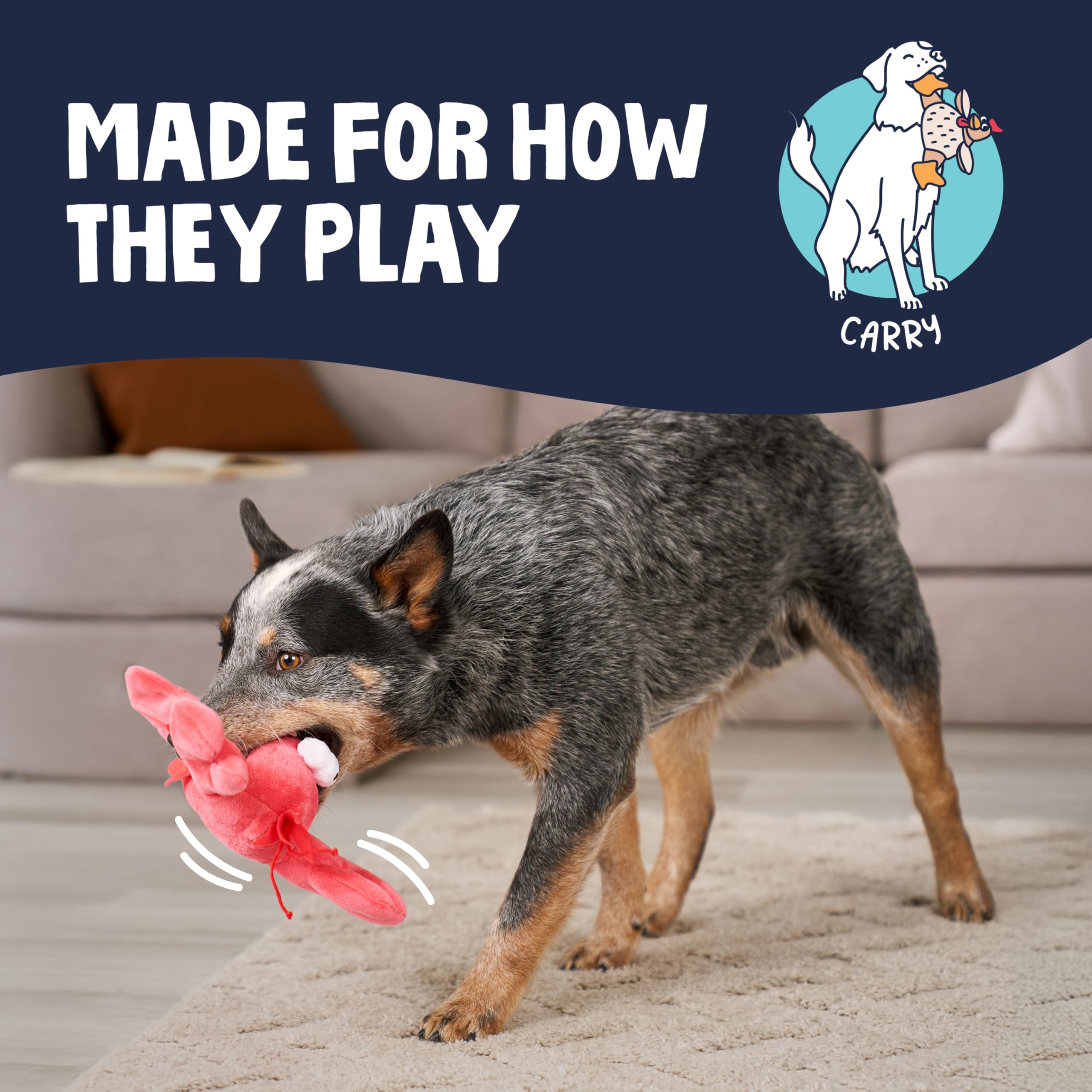 goDog homard comparaison taille montrant l'échelle pour petits chiens
