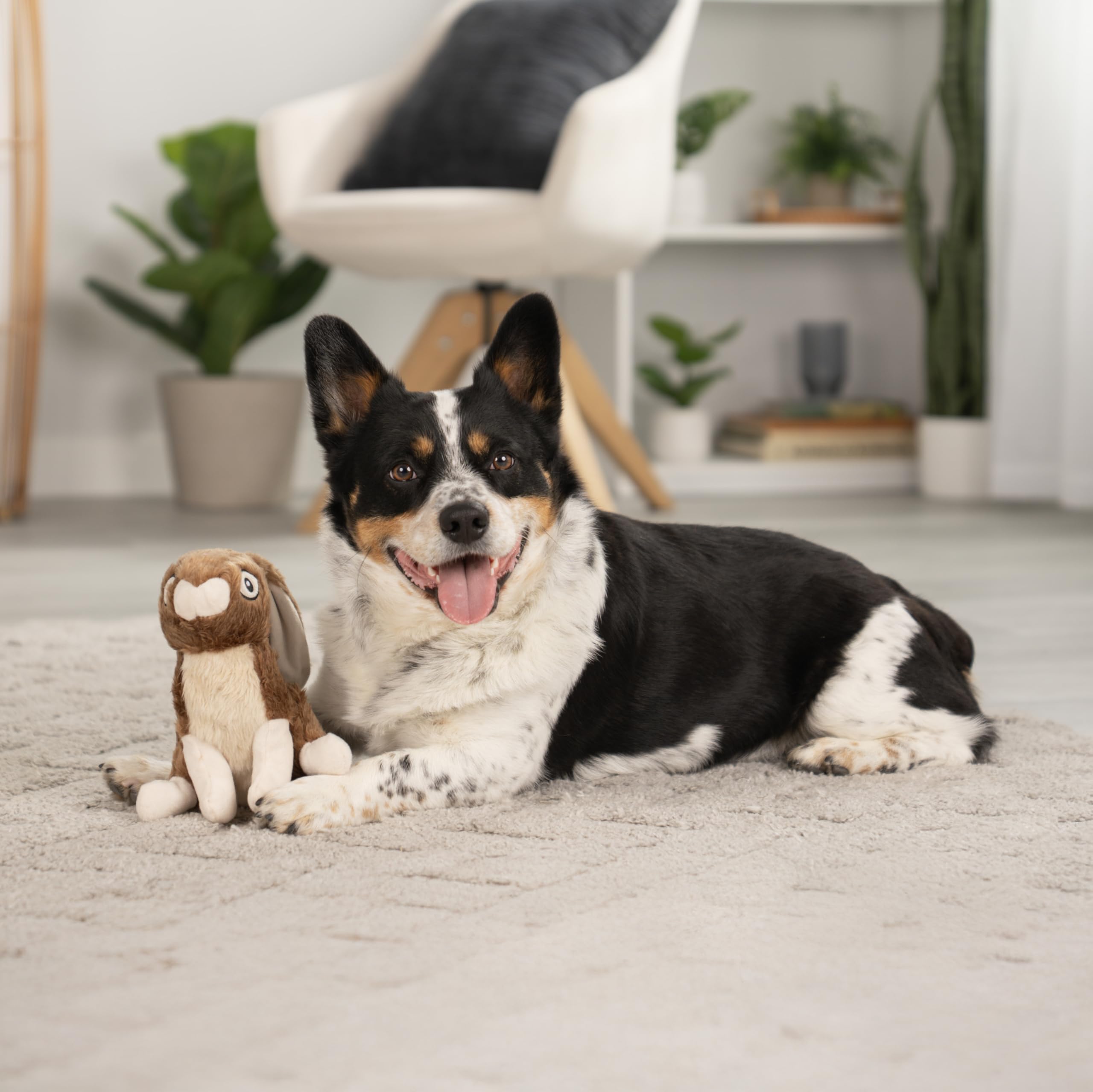 goDog vue du rembourrage pour prise confortable et secouer
