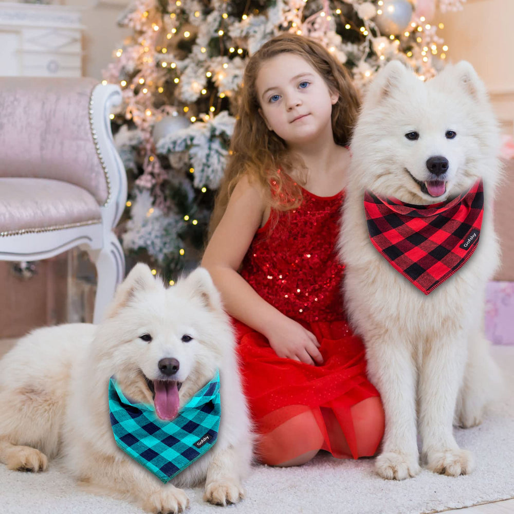 Gofshy chiot porte bandana rouge, met en valeur pour photos