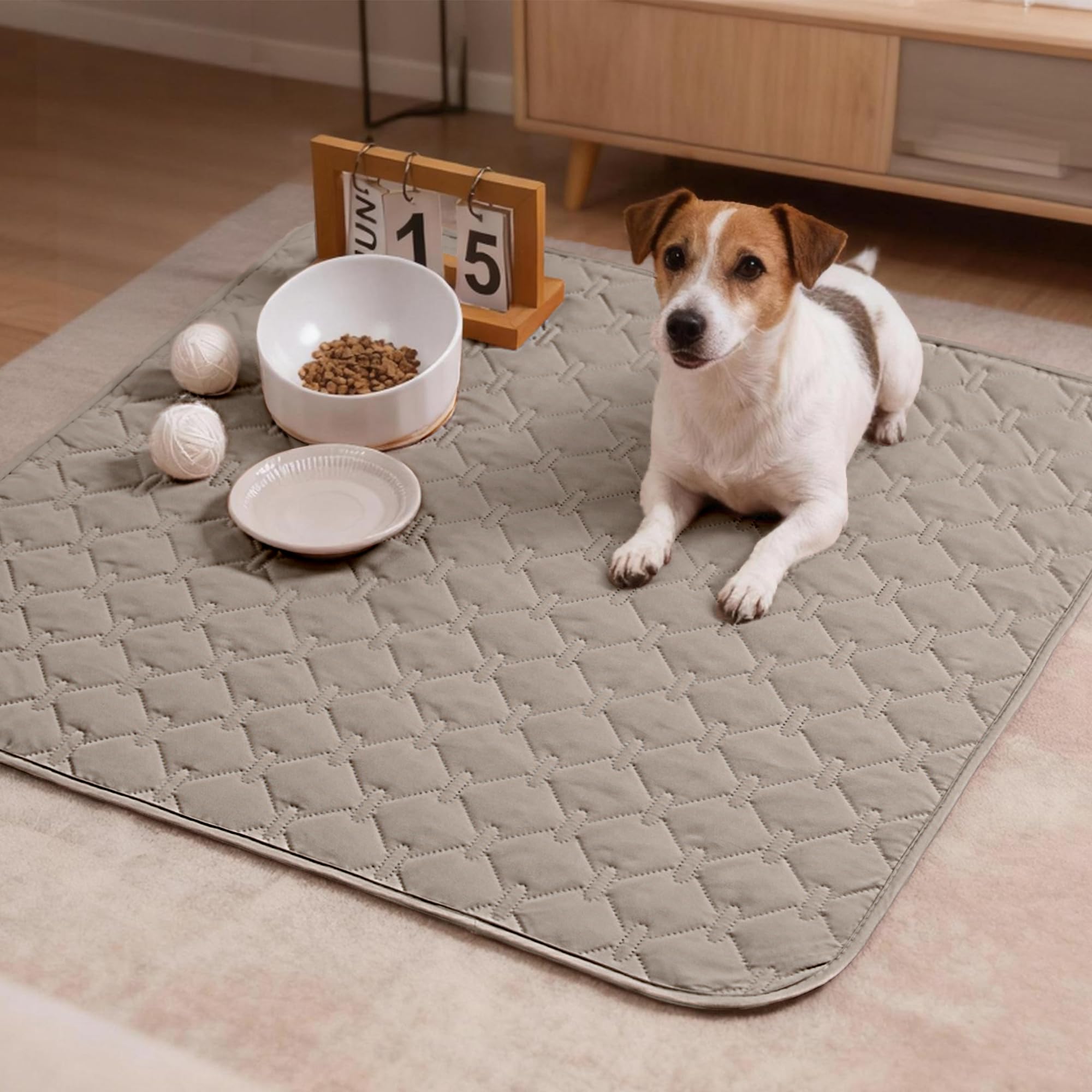 gogobunny comparaison taille 30x30 pouces montre échelle pour animal