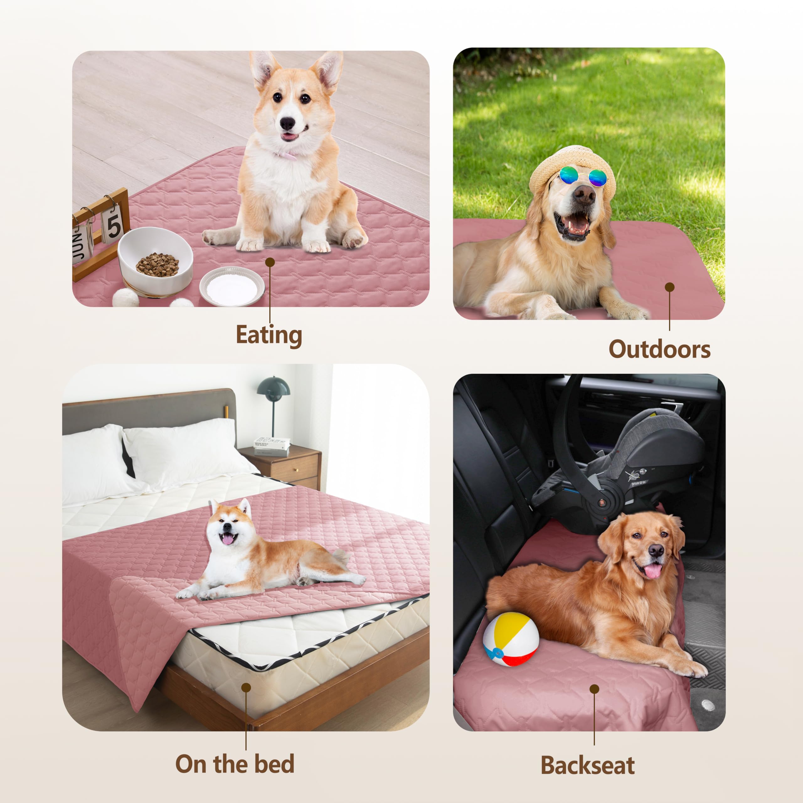 gogobunny comparaison taille avec chien montre couverture couvrante