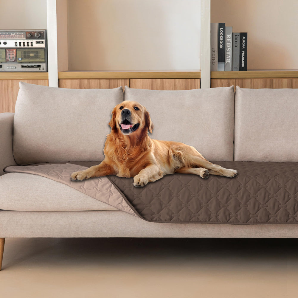 gogobunny couverture devant canapé protégeant le mobilier