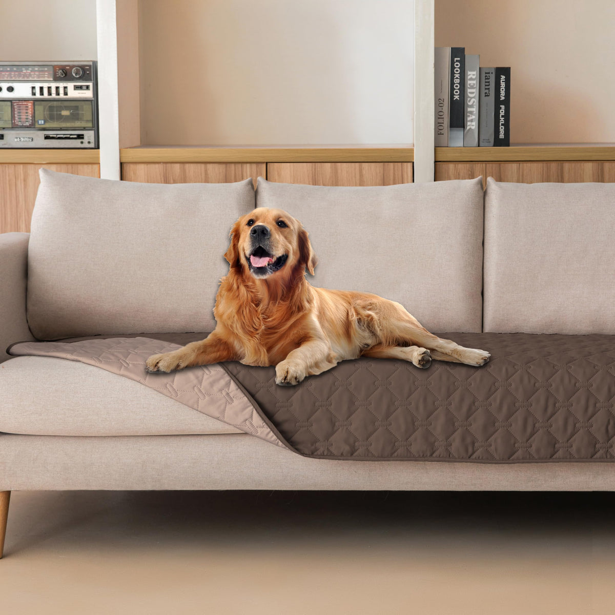 gogobunny couverture devant canapé protégeant le mobilier