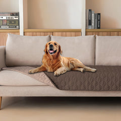 gogobunny couverture devant canapé protégeant le mobilier