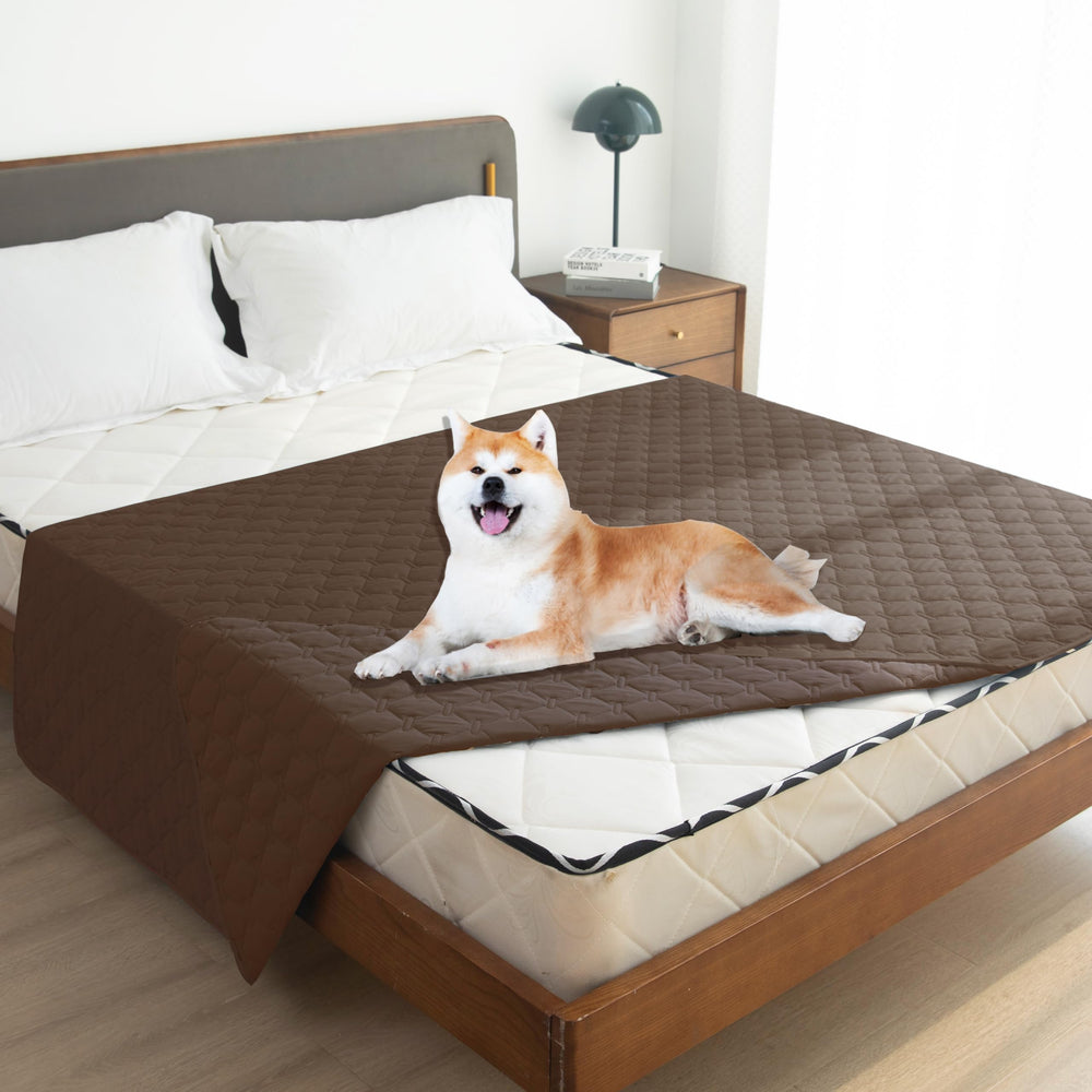 gogobunny couverture posée sur lit crée espace propre pour animal