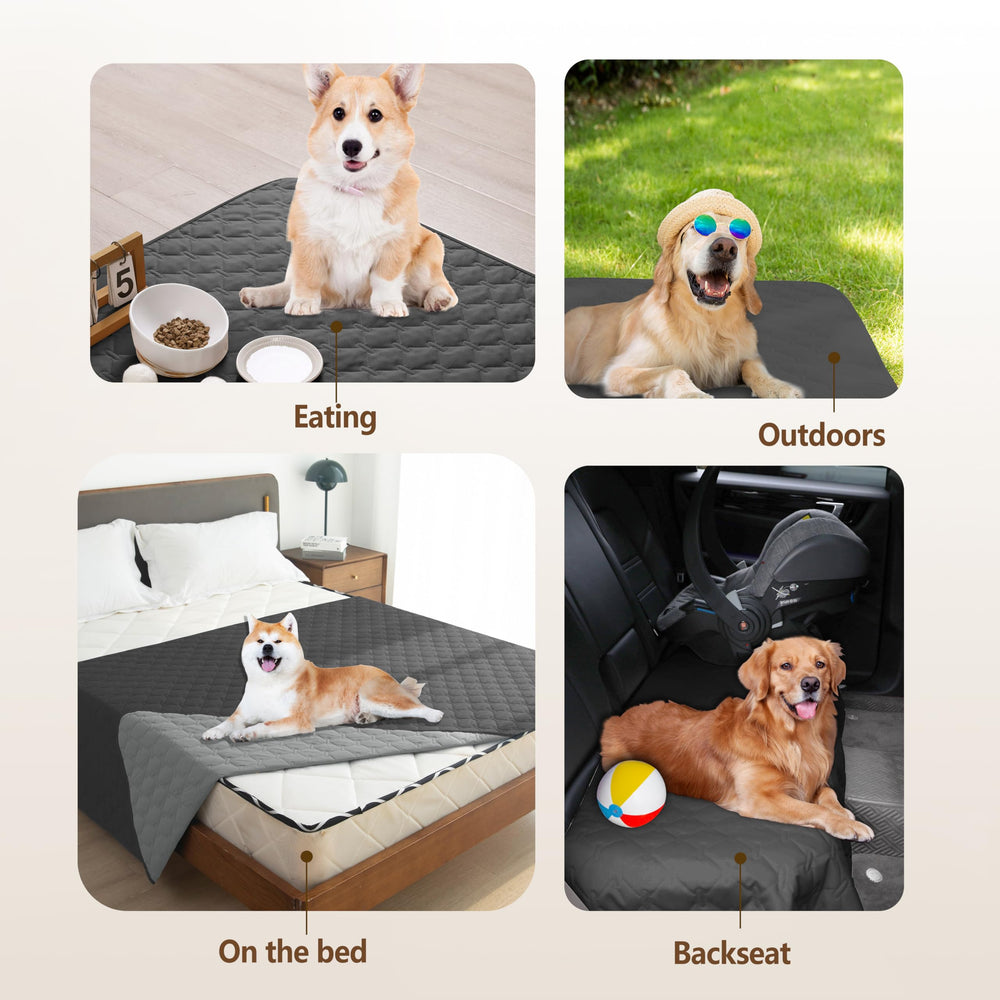 gogobunny couverture en usage sur canapé protège meubles efficacement