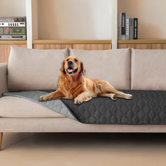gogobunny couverture face avant montrant protection et style élégant