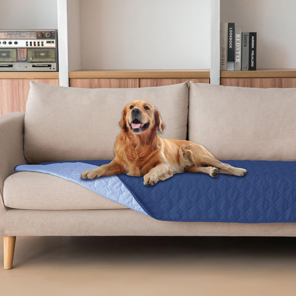 gogobunny couverture face avant montrant protection et esthétisme