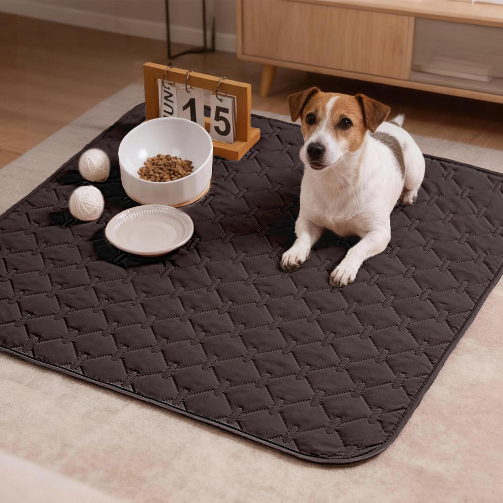 gogobunny couverture résistante aux griffes protège rembourrage du canapé