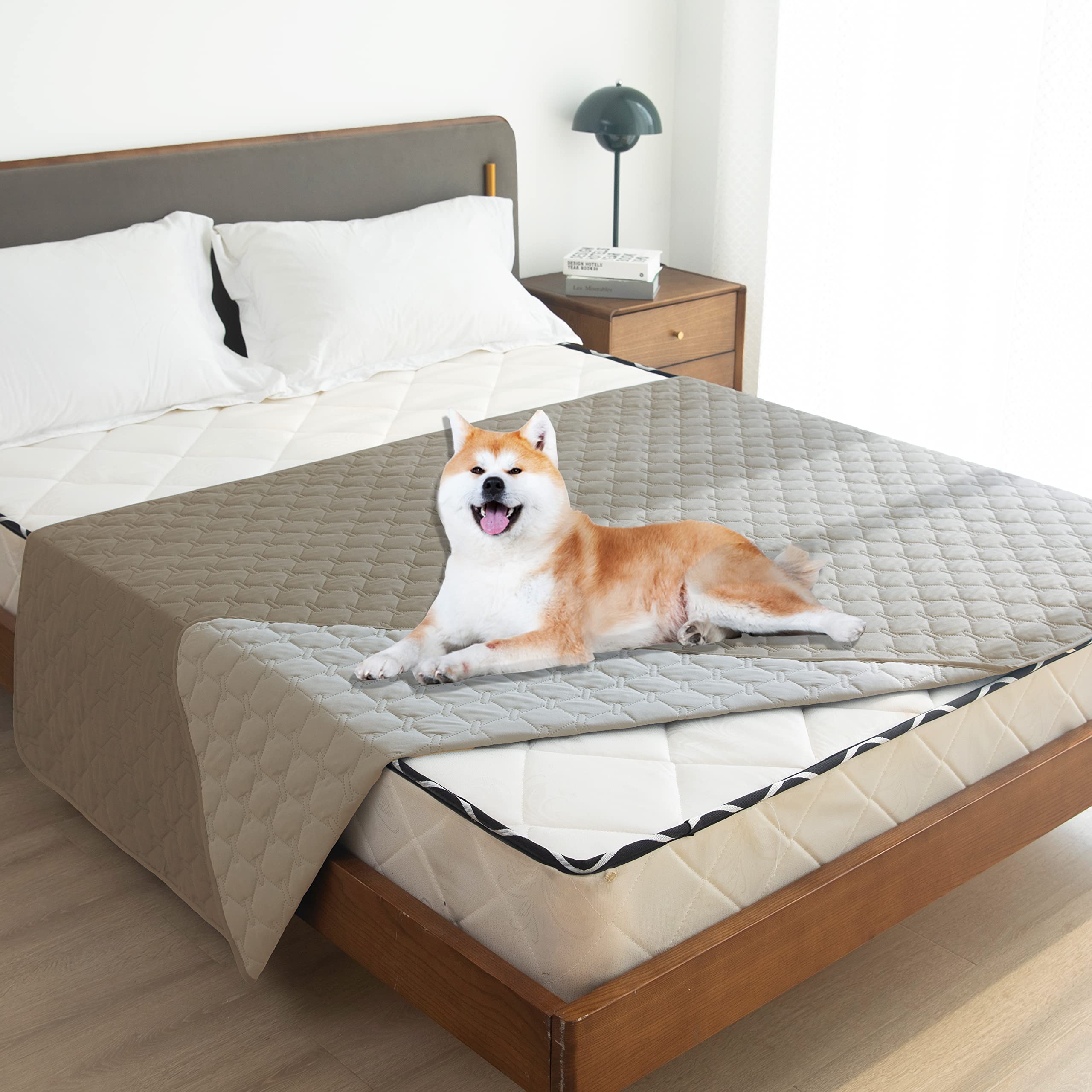 gogobunny couverture sur lit avec chien offrant confort et protection efficace