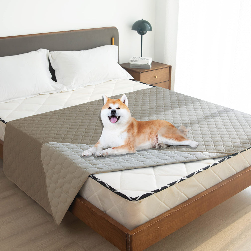 gogobunny couverture sur lit avec chien offrant confort et protection efficace