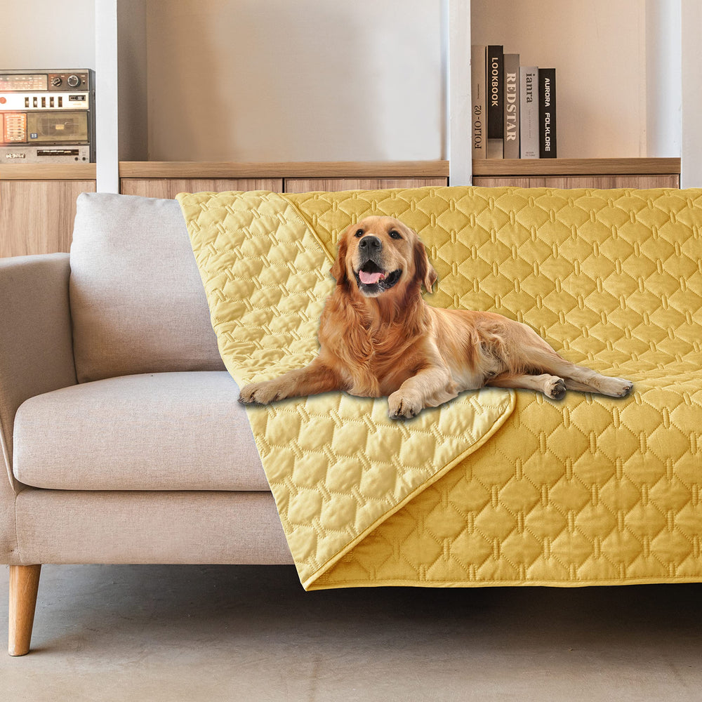gogobunny couverture sur lit protégeant textile et offrant confort