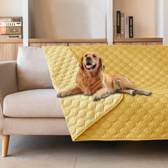 gogobunny couverture sur lit protégeant textile et offrant confort