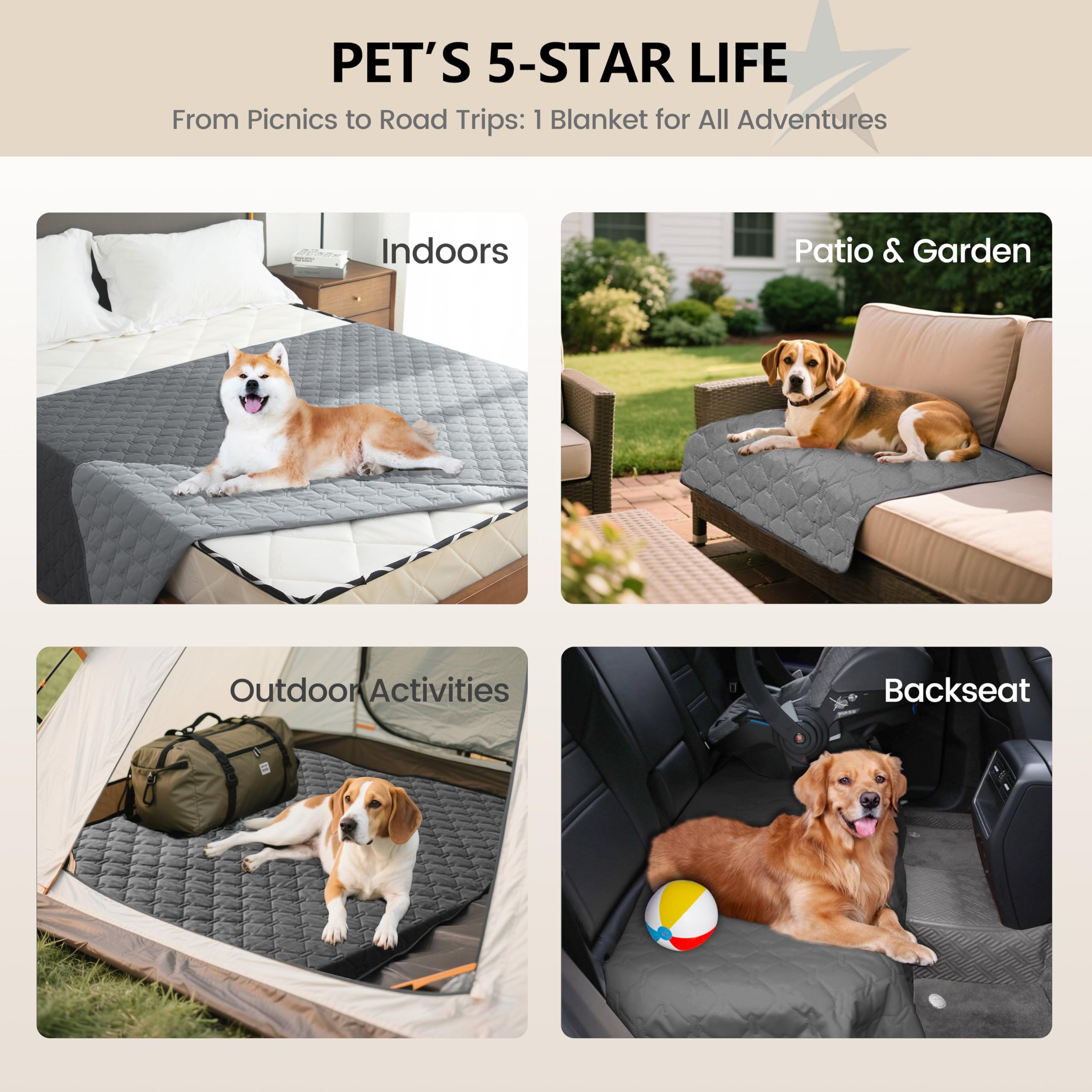 gogobunny gros plan surface douce et confortable pour animaux