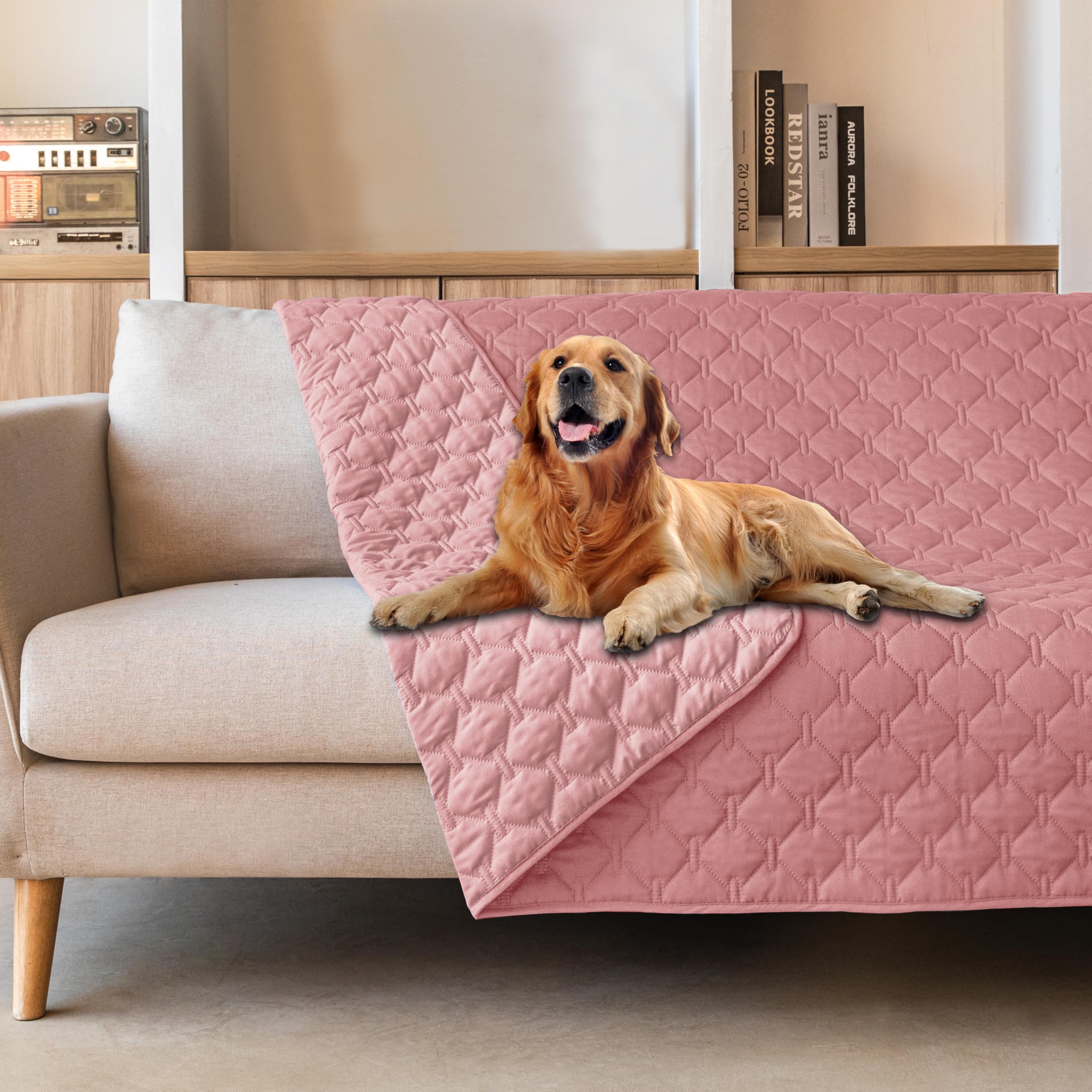 gogobunny couverture devant emballée protège mobilier instantanément