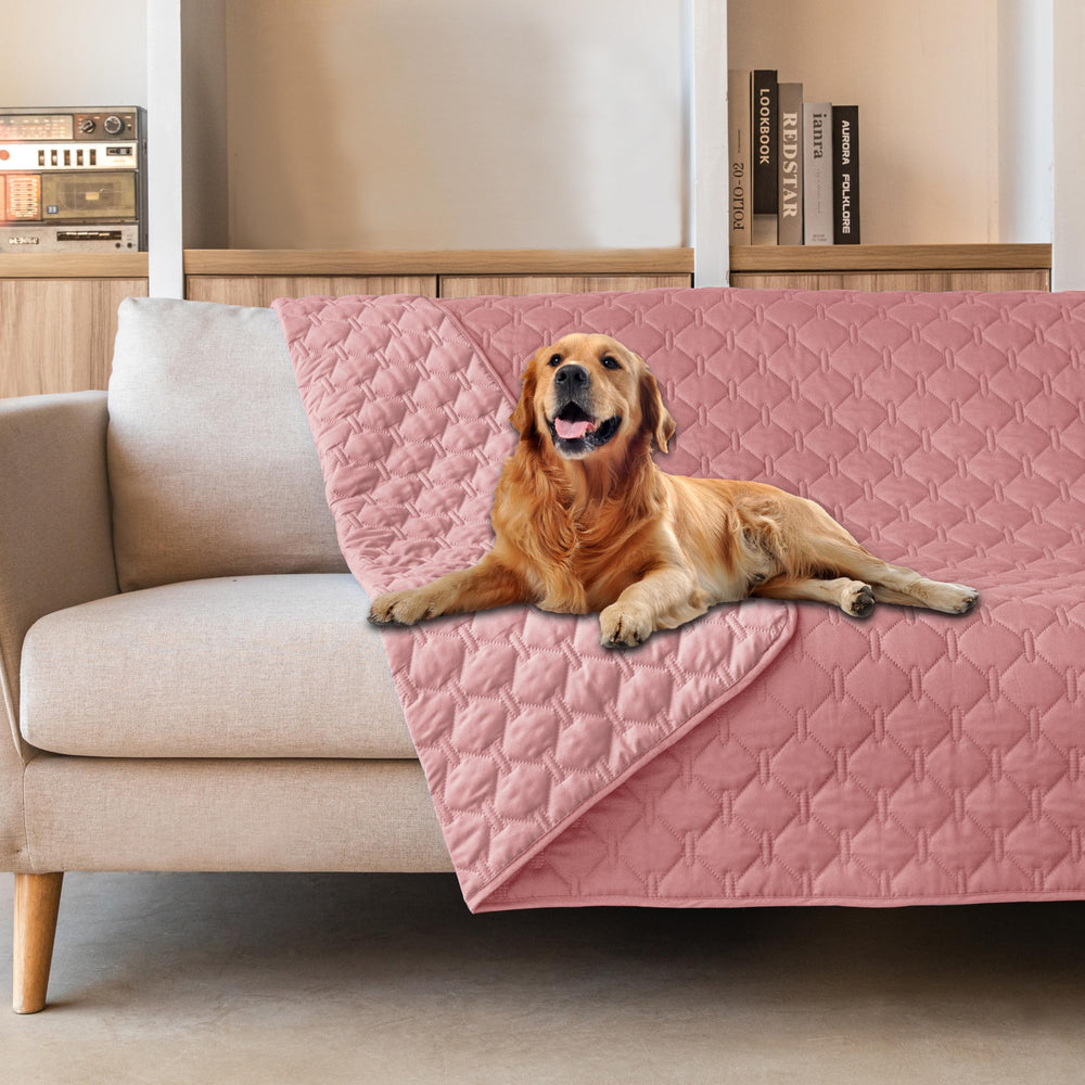 gogobunny couverture devant emballée protège mobilier instantanément