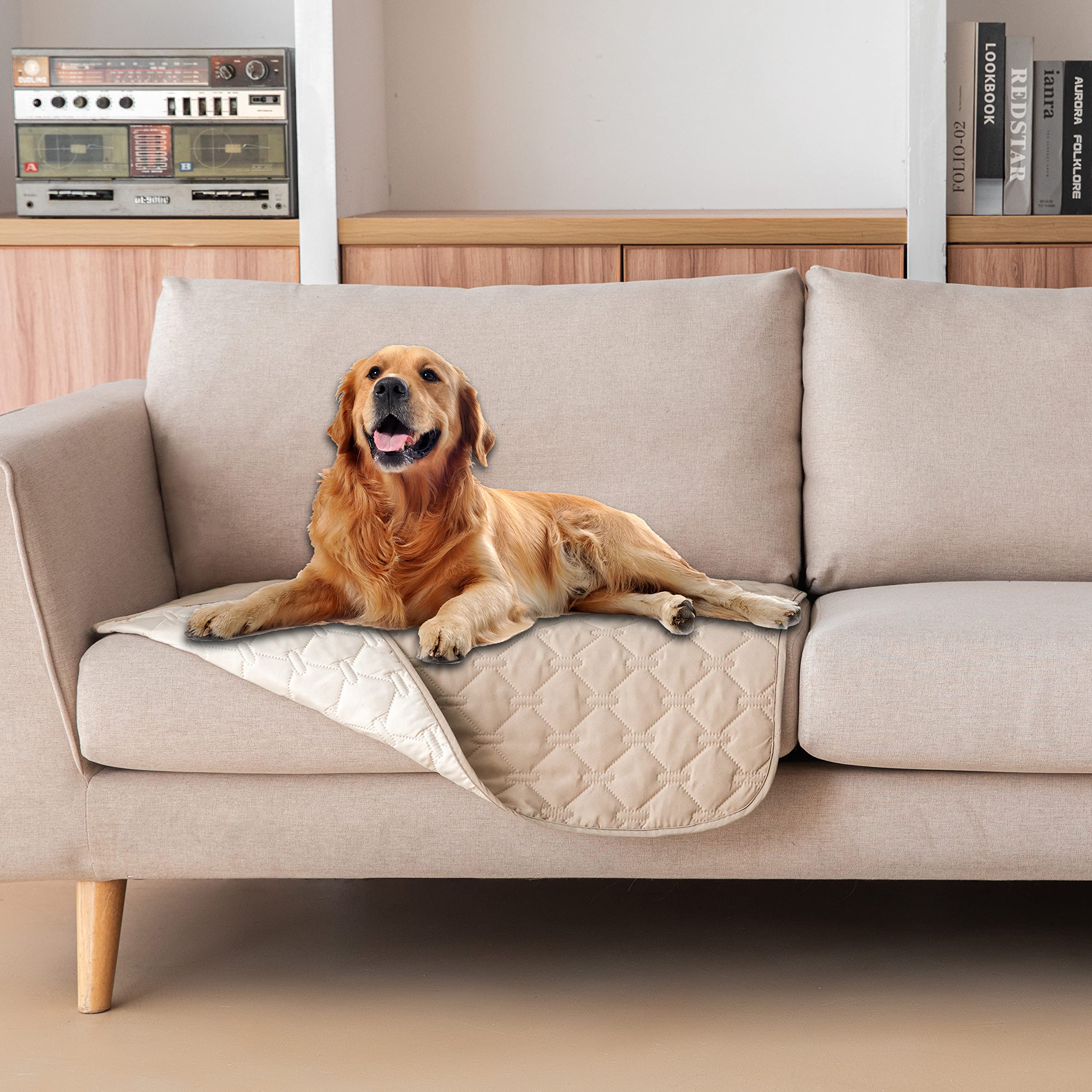 gogobunny face avant housse protégeant fauteuil et style élégant
