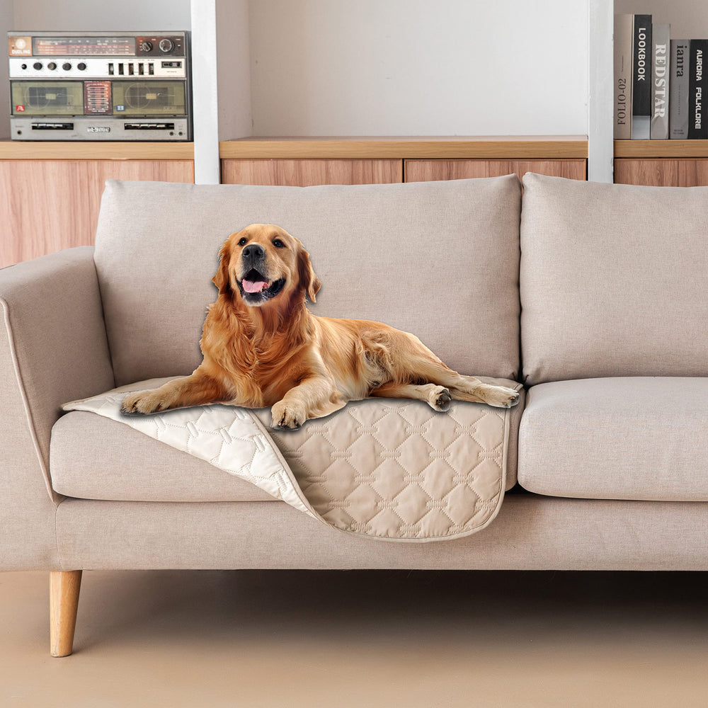 gogobunny face avant housse protégeant fauteuil et style élégant