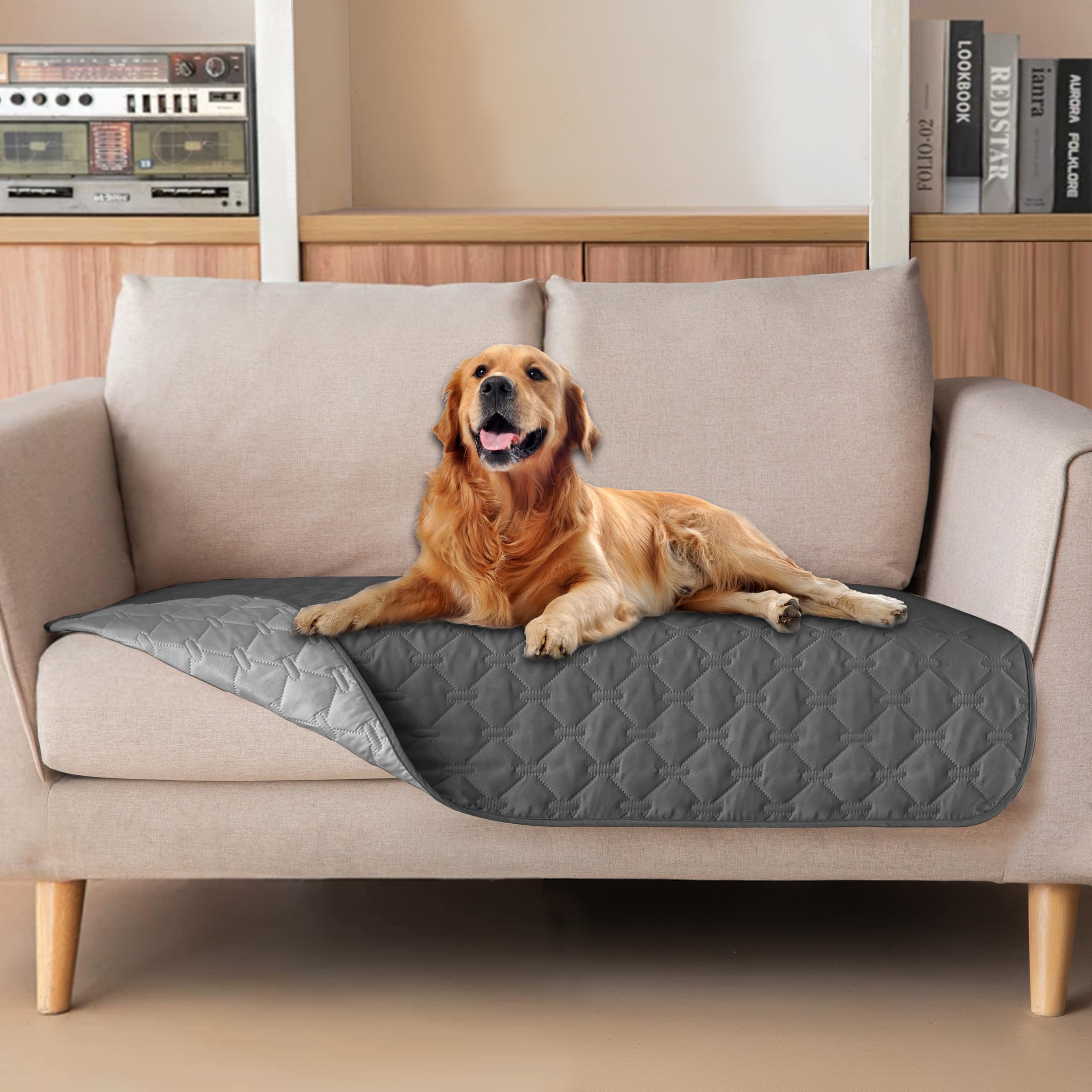 gogobunny face avant de la housse loveseat montrant une protection élégante