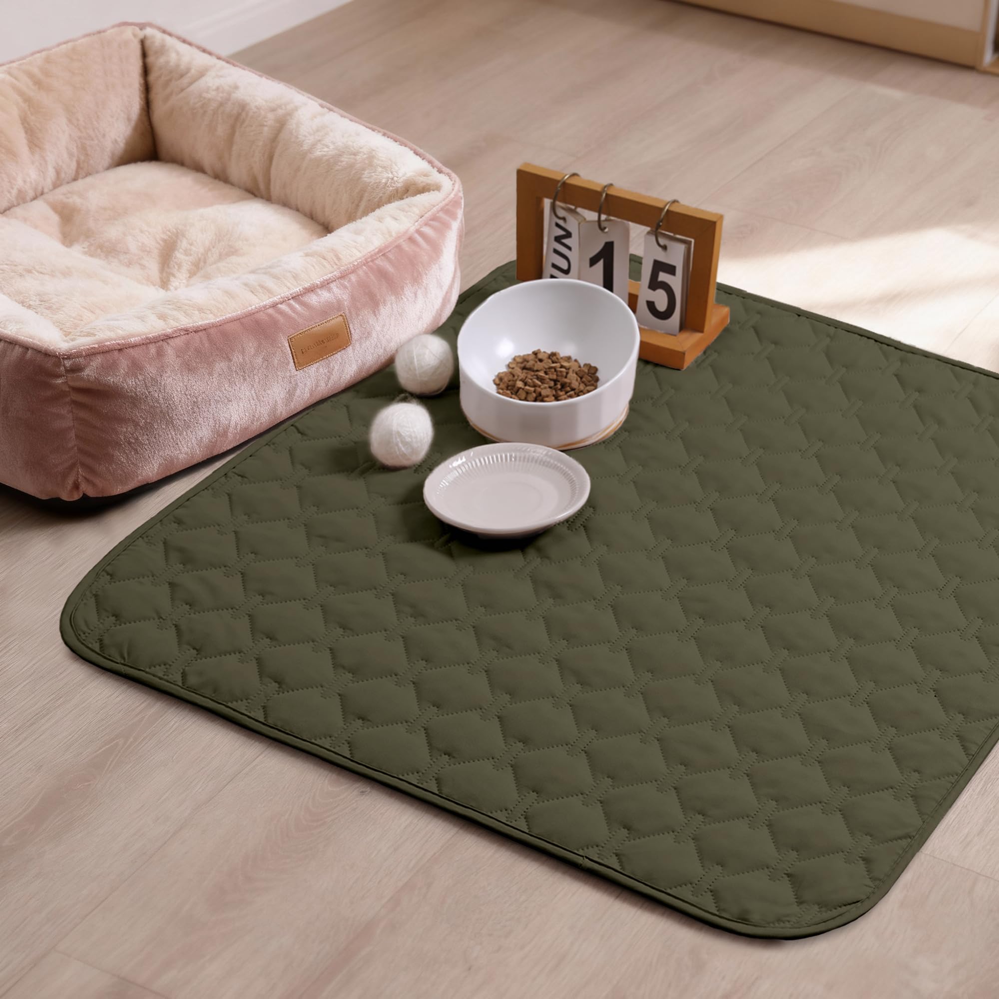 gogobunny gros plan texture douce apportant confort pour chien