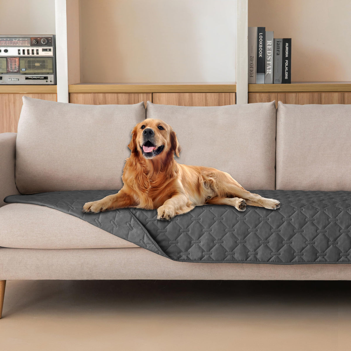 gogobunny housse face avant montrant protection et style