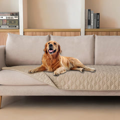 gogobunny housse canapé vue frontale protégeant le mobilier