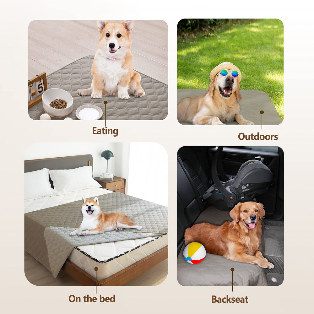 gogobunny couverture en usage avec chien confort et protection des meubles