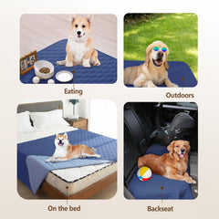 gogobunny housse sur canapé chien confort et protection visibles