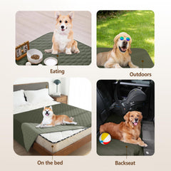 gogobunny chien sur housse démontrant protection et confort