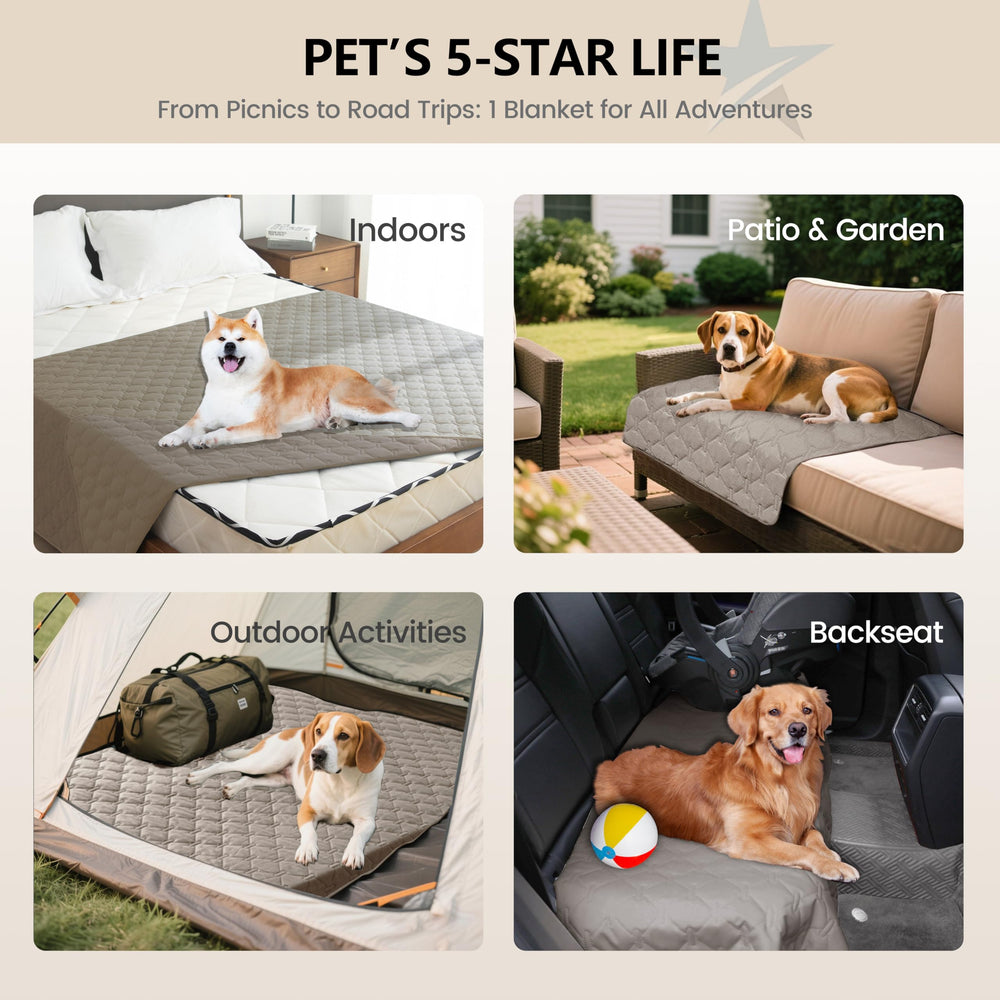 gogobunny gros plan texture douce pour confort du chien
