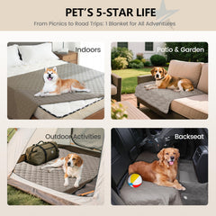 gogobunny gros plan texture douce pour confort du chien