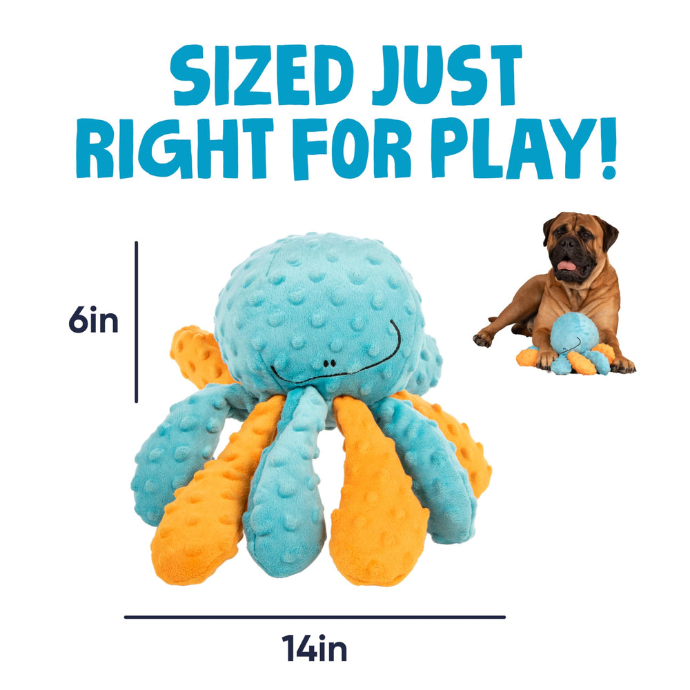 goDog octopus chien tirant sur un bras montrant stimulation et interaction