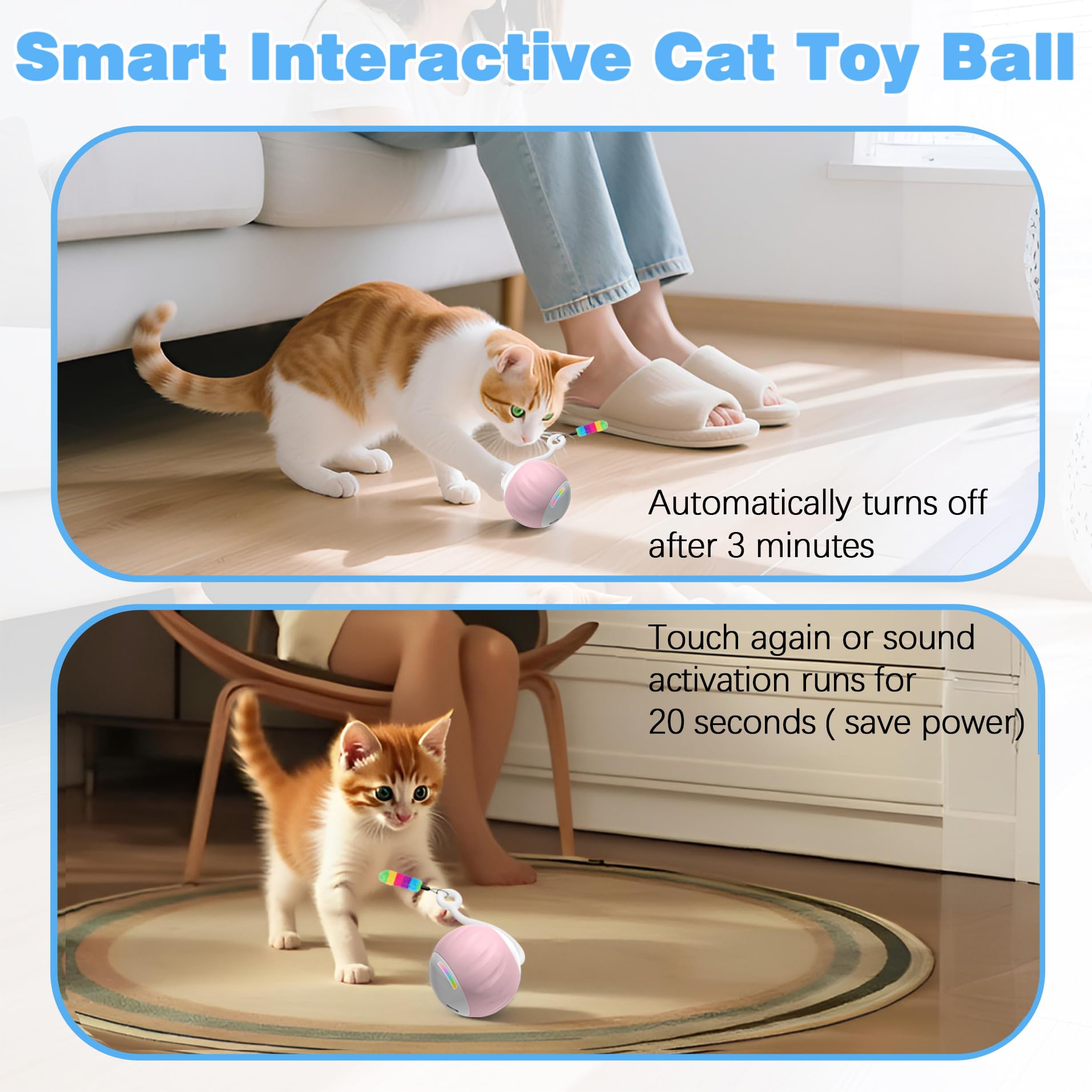 GOGODOGYA boule en action avec chat actif, favorise l'exercice quotidien