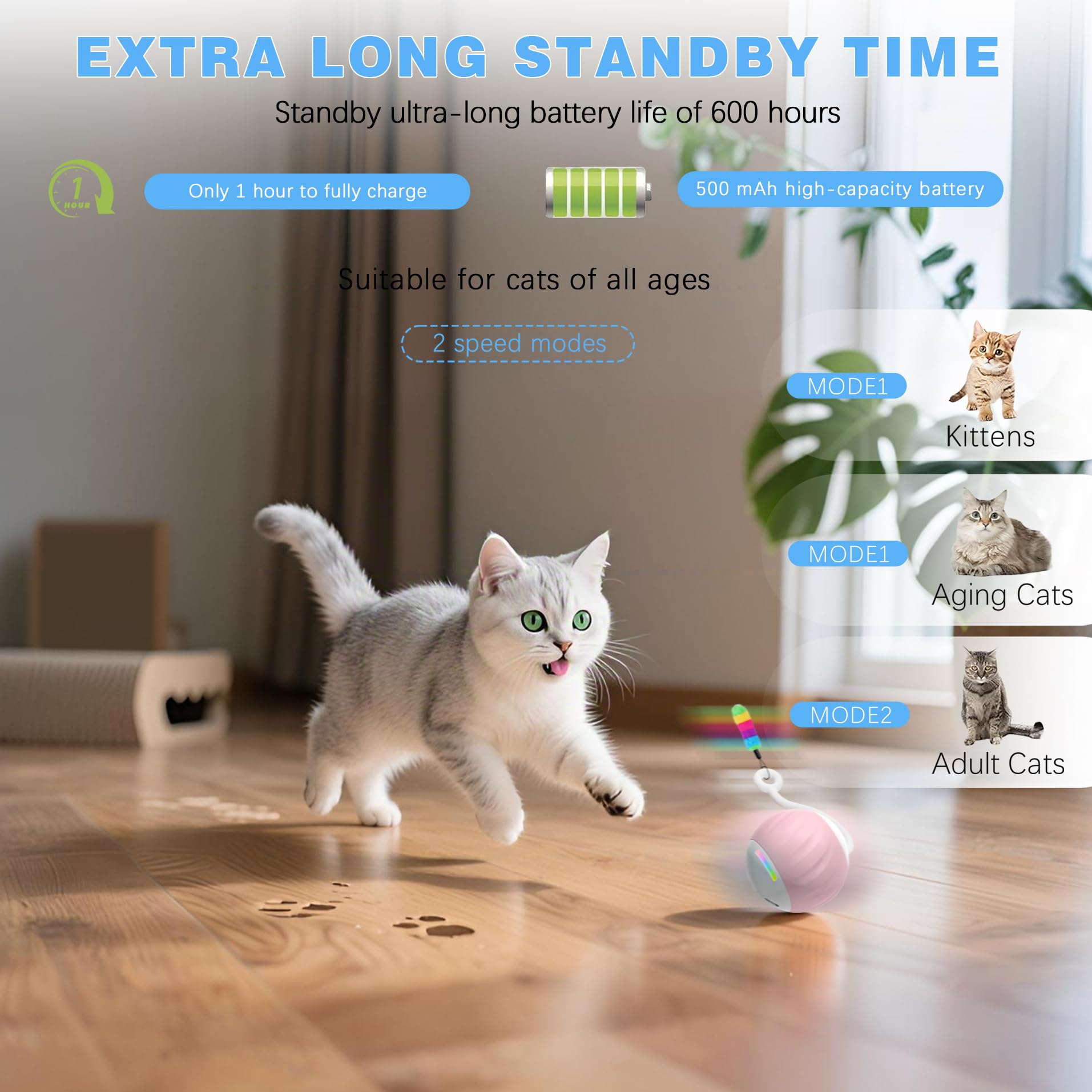 GOGODOGYA détail des cinq queues interchangeables offrant variété de jeu