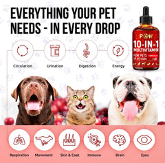 Golden Paw gouttes en main pour administration facile et précise